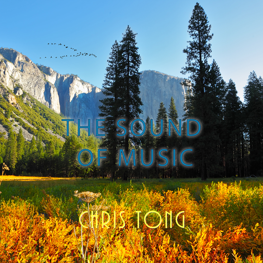 The Sound Of Music